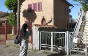 Des paons envahissent un village italien et divisent les habitants