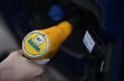 Diesel majoritaire en Nouvelle-Aquitaine : hausse des prix du carburant pèse sur le budget