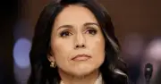 Démission de Tulsi Gabbard : recul des voix anti-guerre dans l'administration Trump