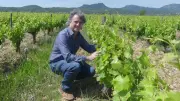 Domaine Joly : la vigne face au dérèglement climatique en portes ouvertes
