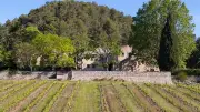 Domaine Maspiquet : soirée dégustation et convivialité le 29 mai