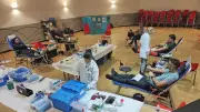 Don du sang : des collectes en baisse, l'EFS appelle à la vigilance