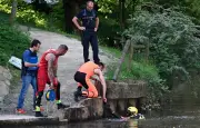 Drame à Rennes : un enfant de 11 ans tué, deux ados en garde à vue
