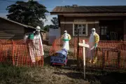 Ebola prospère sur les ruines de l'État en RDC