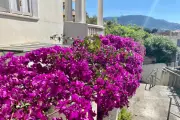 Escaliers niçois : des raccourcis qui relient collines et centre-ville