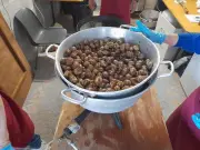 Escargolade à Coulounieix : fête foraine, chars et feu d'artifice