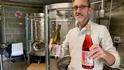 Eure : le vignoble du Vieux Rouen lance ses premières bouteilles