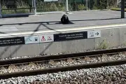 Explosion à Nice : un bagage abandonné déminé en gare Saint-Augustin