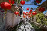 Exporose à Grasse : 35 000 fleurs pour une transformation féerique