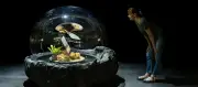 Expos à Bordeaux : arts visuels, nature, architecture et IA