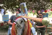 Faites de la brouette : 14 équipes réunies à Barjols pour une journée festive