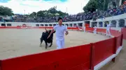 Feria d'Alès : le Trophée de l'Avenir séduit 900 spectateurs au Tempéras