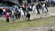 Feria d'Alès : les anoubles d'Aubanel filent dans le Gardon