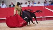 Feria de Nîmes 2026 : art, émotion et découverte au programme