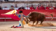 Feria de Nîmes 2026 : jeunesse et maturité brillent aux arènes