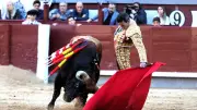 Feria de Nîmes 2026 : l'absence de De Miranda et Hernandez interroge