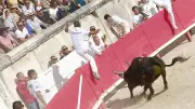 Feria de Nîmes : programme complet du jeudi 21 mai 2026