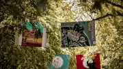Feria de Nîmes : programme du mercredi 20 mai 2026