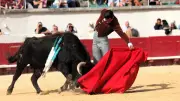 Feria OFF de Béziers : trois jours de fête et de tauromachie à partir de ce jeudi