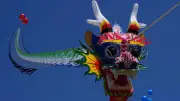Festival du vent à Talmont-sur-Gironde : 4 jours de féerie aérienne