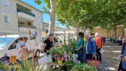 Festi'Verte à la garrigue : clôture de la Semaine verte le 23 mai