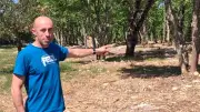 Feux de forêt : Méjannes-le-Clap renforce le débroussaillage obligatoire