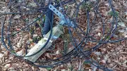 Fibre en souffrance dans l'Hérault après la tempête Nils : des abonnés privés d'internet