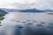 Finance bleue : le BEFF 2026 à Monaco trace la voie pour l'océan