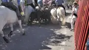 Forte affluence pour la fête de Combas sur trois jours