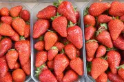 Fraises : un fruit peu calorique, riche en vitamine C et en fibres