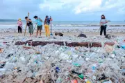 François Galgani : l'expert qui a fait de la pollution plastique une cause mondiale