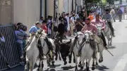 Féria de Pignan : deux jours de fête les 15 et 16 mai