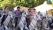 Fête annuelle du club taurin à Rodilhan : 4 jours de traditions camarguaises