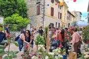 Fête « Autour de la rose » à La Colle-sur-Loup ce dimanche 17 mai