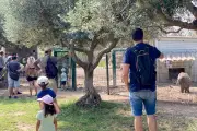 Fête de la biodiversité à Sanary : du jardin à l'assiette