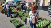 Fête de la brouette à Olargues : plantes, jeux et animations ce dimanche