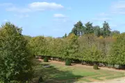 Fête de la nature au château de Cadillac : communiquer avec le vivant