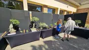 Fête de la nature au Crès : immersion dans l'art du bonsaï