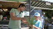 Fête de la nature au jardin de la Goutte d'eau à Vallabrègues