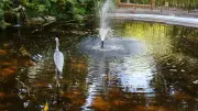 Fête de la nature au parc du Terral : animations et soirée astronomique