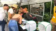 Fête de la nature : biodiversité et viticulture au Pont du Diable