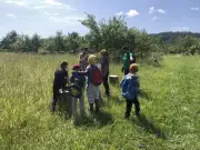 Fête de la nature dans le Lot-et-Garonne : 15 sites pour célébrer la biodiversité