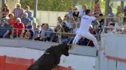 Fête de l'Aficion : journée à l'ancienne et course du Raison d'Or
