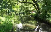 Fête de l'Eau Bourde : un événement festif et engagé ce dimanche 24 mai
