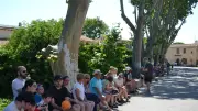 Fête de Pentecôte au Cailar : ambiance festive et traditions taurines