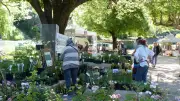 Fête des Jardins à Aumessas : nature, producteurs et animations