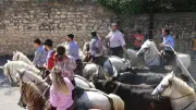Fête du printemps à Beauvoisin : traditions camarguaises les 7 et 8 mai