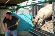 Fêtes patronales de Pentecôte à Saint-Gor : un programme varié du 21 au 25 mai