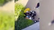 Fusillade à Saint-Denis : le quartier Gabriel-Péri sous le choc