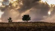 Gard en vigilance jaune pour orages violents ce week-end